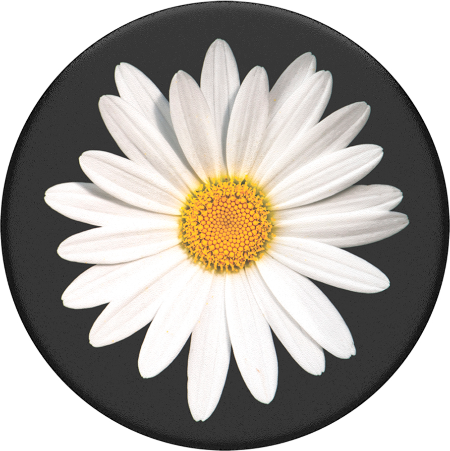 PopSockets 800995 PopGrip White Daisy