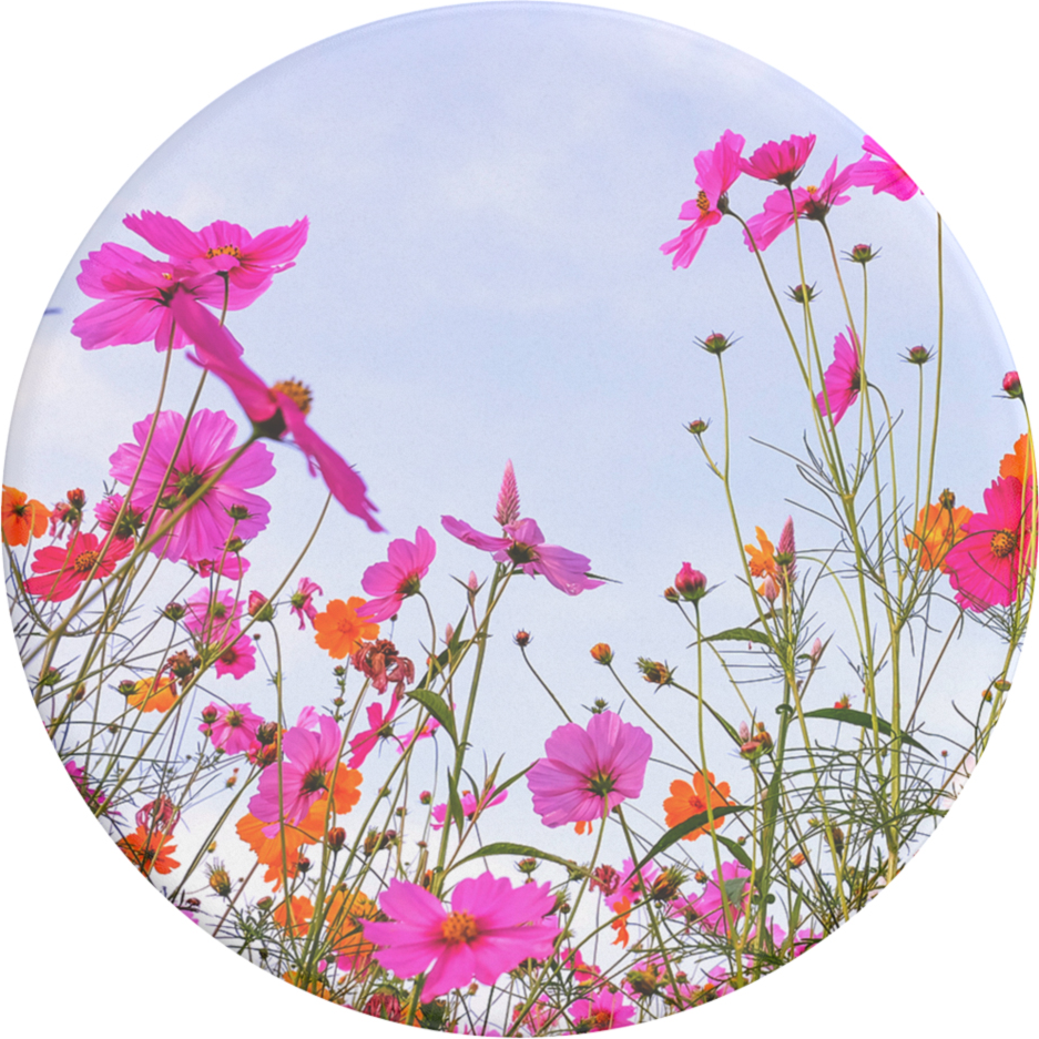 PopSockets 806596 PopGrip Fuchsia Bloom